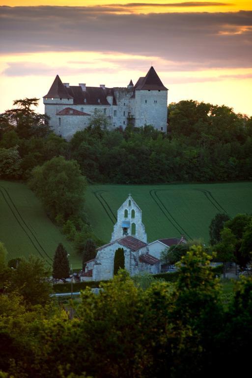 Вілла Chateau De Goudourville Екстер'єр фото