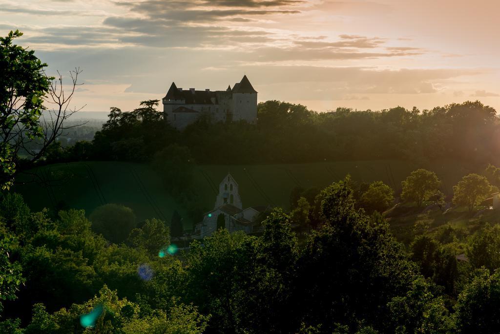 Вілла Chateau De Goudourville Екстер'єр фото