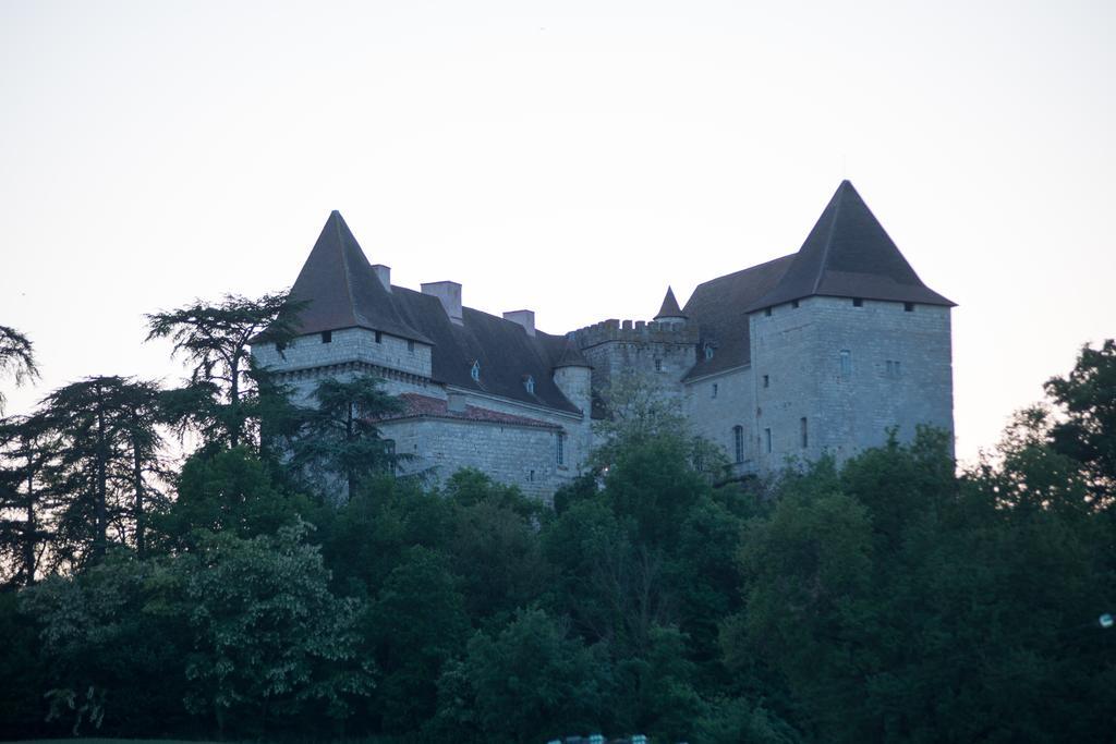 Вілла Chateau De Goudourville Екстер'єр фото